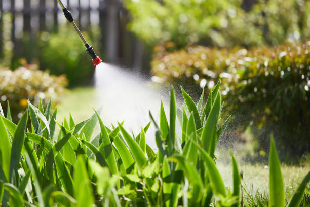 24/7 Emergency Mosquito Control experts in Manchaca, TX